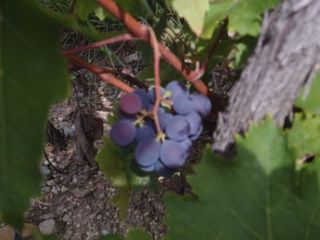 FRANCE2011 126.jpg
