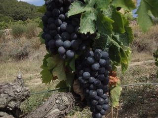 FRANCE2011 128.jpg