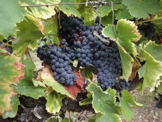 FRANCE2011 155.jpg