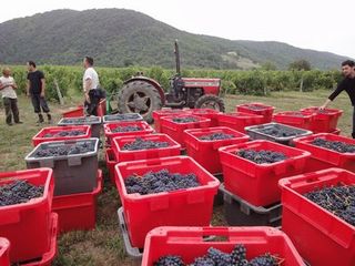 FRANCE2011 156.jpg