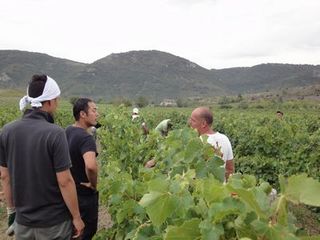 FRANCE2011 158.jpg