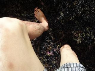 FRANCE2011 174.jpg