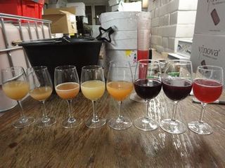 FRANCE2011 184.jpg