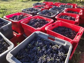 FRANCE2011 186.jpg
