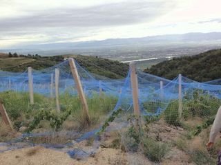 FRANCE2011 225.jpg
