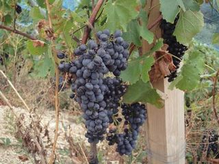 FRANCE2011 227.jpg