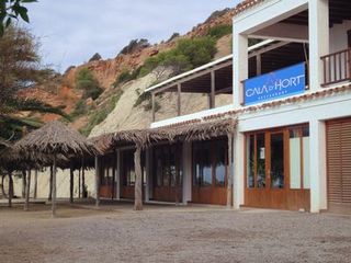 Ibiza Cala D'hort 4.jpg