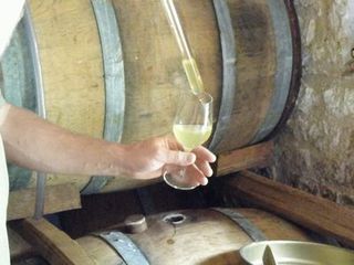 MEET THE VIGNERON 2 12.jpg
