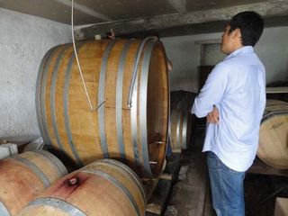 MEET THE VIGNERON 2 8.jpg