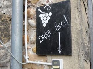 MEET THE VIGNERON 3.jpg