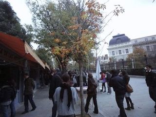 Madrid Retiro.jpg