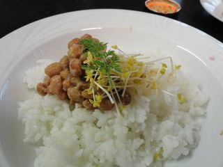 moyashi 32.jpg