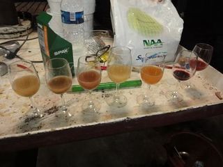 FRANCE2011 164.jpg