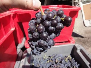 FRANCE2011 210.jpg