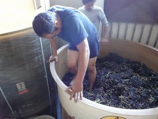 FRANCE2011 211.jpg