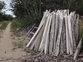 FRANCE2011 231.jpg
