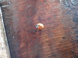 FRANCE2011 274.jpg