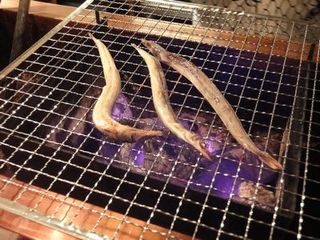 kurume17.jpg