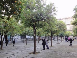sevilla23.jpg